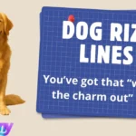 Dog Rizz Lines