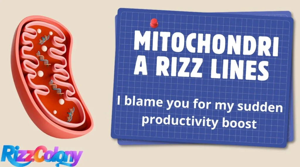 Mitochondria Rizz Lines